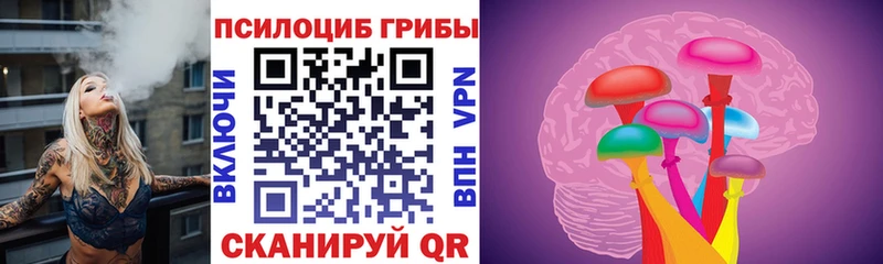 где купить наркоту Сосенский Галлюциногенные грибы Psilocybe